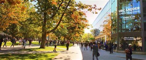 Opportunities for UBC Sauder MiM Graduates